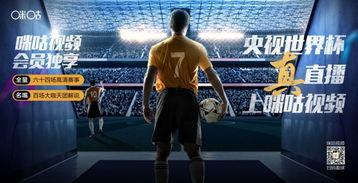吃瓜娱乐拳击比赛直播视频,直播盛宴，精彩瞬间回顾