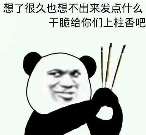 贼坏坏表情包他妈,背后故事与母亲的心声